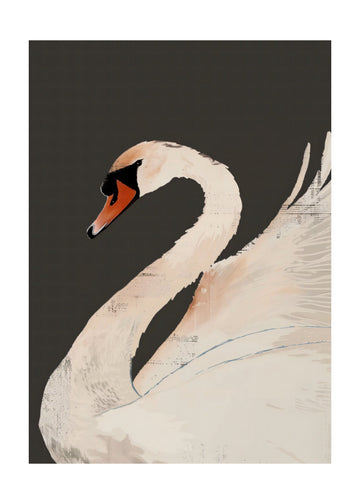 Graceful White Swan | Poster - Passepartout