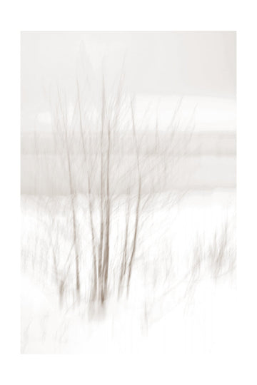 Ethereal Winter Woods | Poster - Passepartout