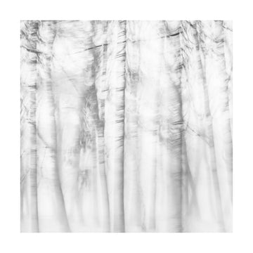 Ethereal Tree Lines | Poster - Passepartout