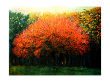 Vibrant Fall Tree | Poster - Passepartout