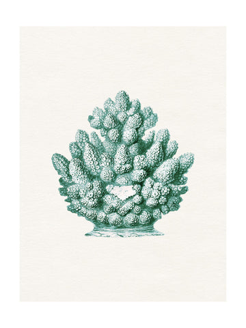 Teal Ocean Coral | Poster - Passepartout