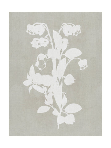 White Botanical Blooms | Poster - Passepartout