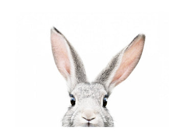 Peeking Bunny | Poster - Passepartout