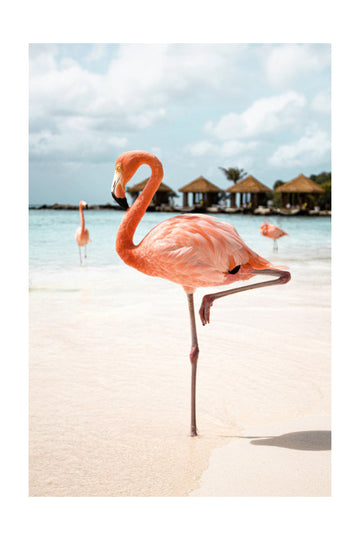 Pink Flamingo Beach | Poster - Passepartout