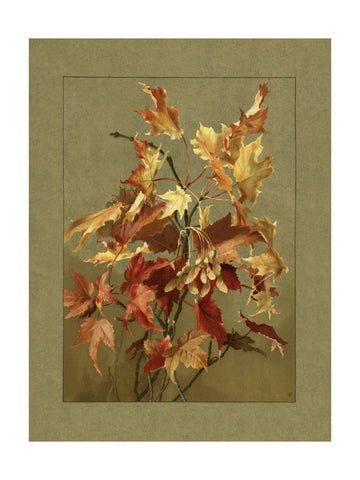 Autumn Leaves, Maple | Poster - Passepartout