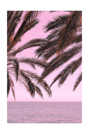 Pink Sky Tropical Palms | Poster - Passepartout