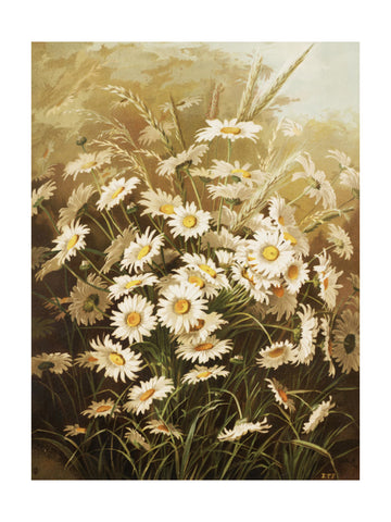 Daisies By Ellen Thayer Fisher | Poster - Passepartout