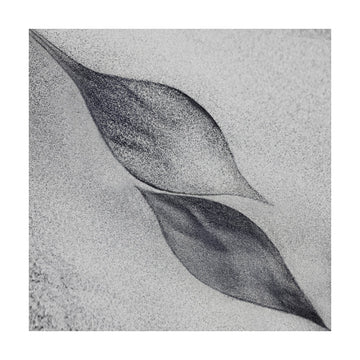 Grey Organic Leaves | Poster - Passepartout