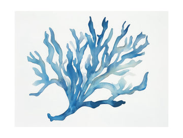 Blue Coral | Poster - Passepartout