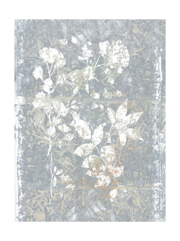 Abstract Grey Botanicals | Poster - Passepartout