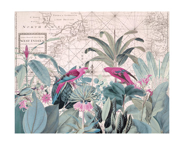 Tropical Map Parrots | Poster - Passepartout
