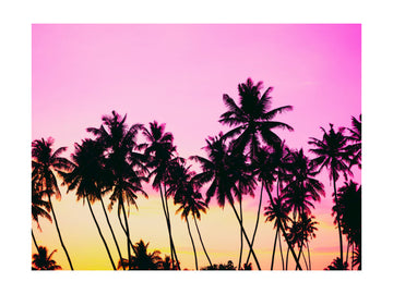 Pink Sky Palm Trees | Poster - Passepartout