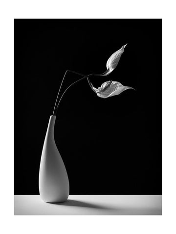 Graceful Peace Lilies Vase | Poster - Passepartout