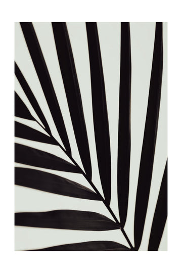 Tropical Leaf Lines | Poster - Passepartout