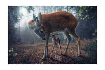 Mother Deer and Fawn | Poster - Passepartout