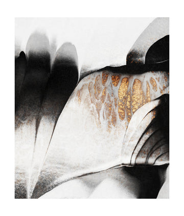 Fluid Gold Contrast | Poster - Passepartout