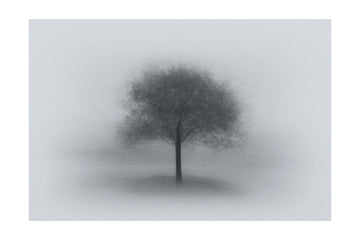 Misty Solitary Tree | Poster - Passepartout