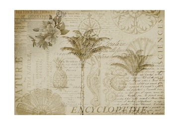 Tropical Botanical Exploration | Poster - Passepartout