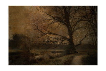 Old tree | Poster - Passepartout