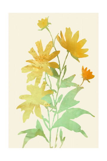 Yellow Botanical Bloom | Poster - Passepartout