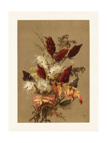 Sumac and Milkweed By Ellen Thayer Fisher | Poster - Passepartout