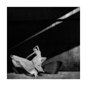 Graceful Shadow Dance | Poster - Passepartout