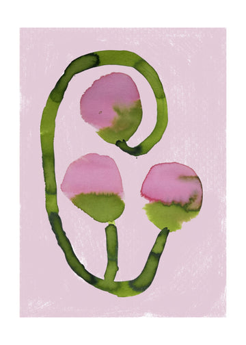 Abstract Pink Blooms | Poster - Passepartout