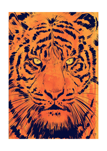 Intense Tiger Gaze | Poster - Passepartout