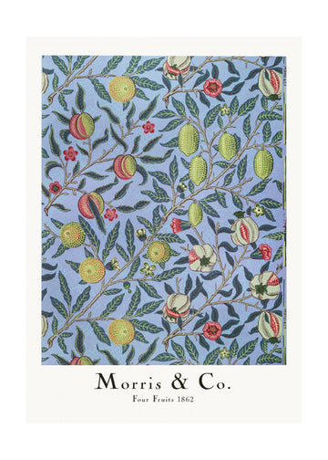 Four Fruits | Poster - Passepartout