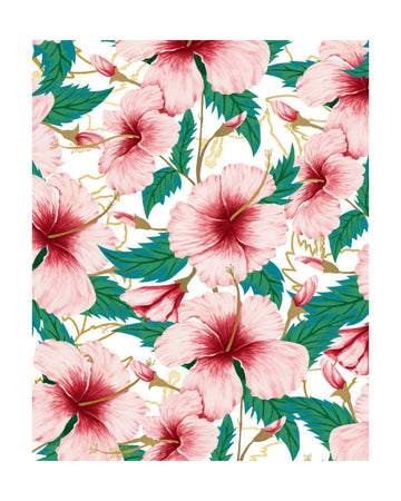 Tropical Pink Hibiscus | Poster - Passepartout