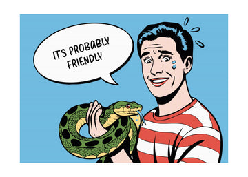 It's Probably Friendly | Poster - Passepartout