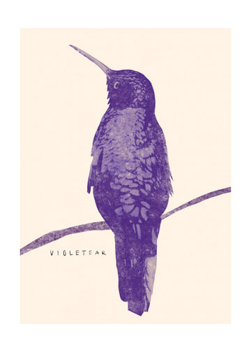 Elegant Violet Hummingbird | Poster - Passepartout