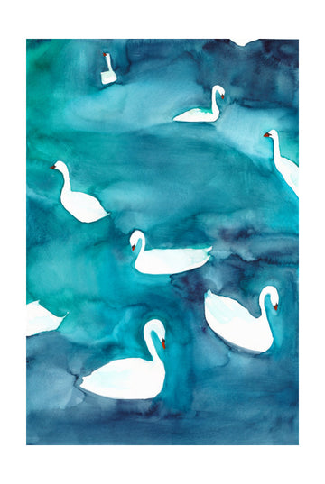 Graceful Swans on Water | Poster - Passepartout