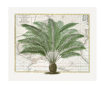 Vintage Palm Atlas | Poster - Passepartout