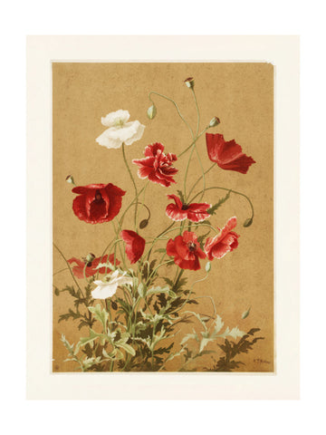 Poppies No. 3 By Ellen Thayer Fisher | Poster - Passepartout
