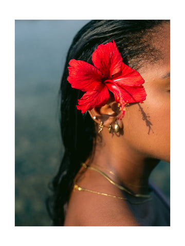 Hibiscus Serenity | Poster - Passepartout