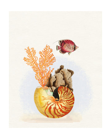 Nautilus Reef Life | Poster - Passepartout