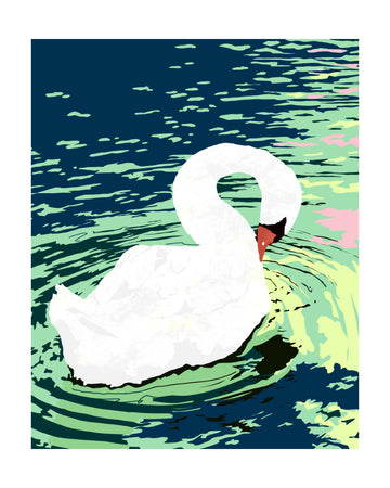 Graceful Swan on Water | Poster - Passepartout