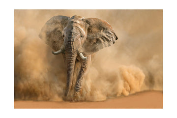 Majestic Elephant Dust Cloud | Poster - Passepartout