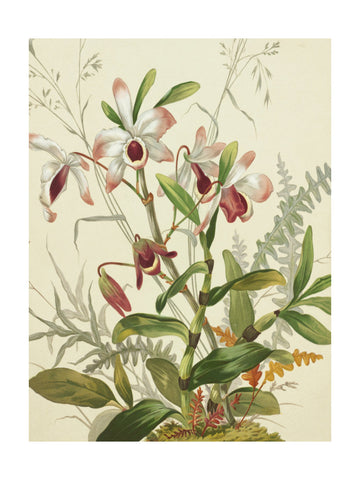 Flowers | Poster - Passepartout