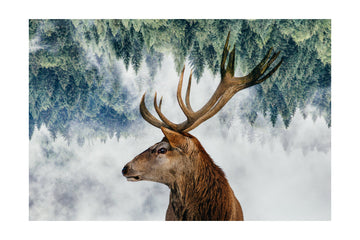 The Deer and the woods | Poster - Passepartout