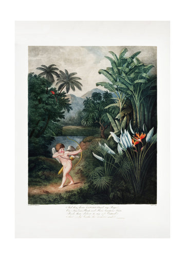 Cupid Inspiring Plants with Love from The Temple of Flora (1807) | Poster - Passepartout