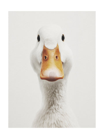 Funny Duck Face | Poster - Passepartout