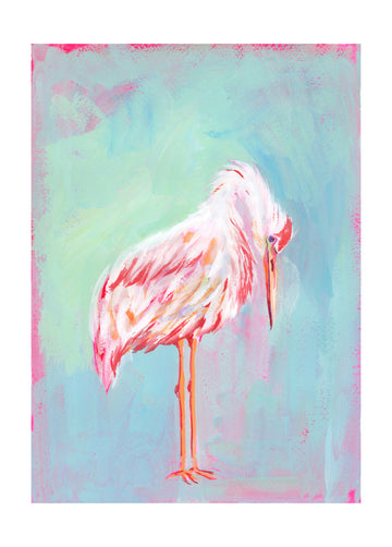 Gentle Pink Ibis | Poster - Passepartout