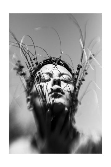 Nature's Serene Embrace | Poster - Passepartout
