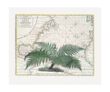 Vintage Map Fern Botanical | Poster - Passepartout