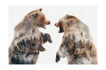 Roaring Forest Bears | Poster - Passepartout