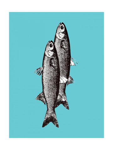 Vintage Fish Duo | Poster - Passepartout