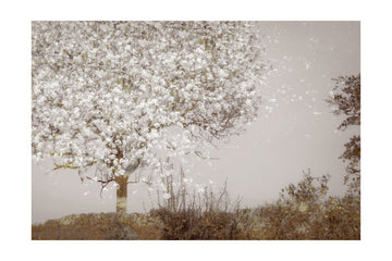 Fruit tree | Poster - Passepartout