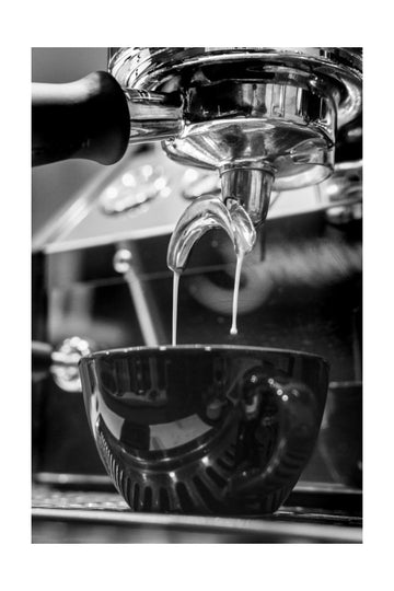 Fresh Espresso Brew | Poster - Passepartout